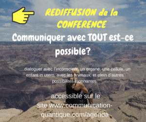 [VIDÉO] conférence : Communiquer avec Tout, est-ce possible ?