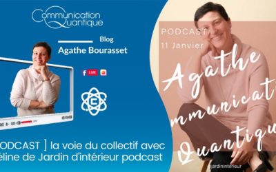 [ PODCAST ] la voie du collectif avec Céline de Jardin d’intérieur podcast