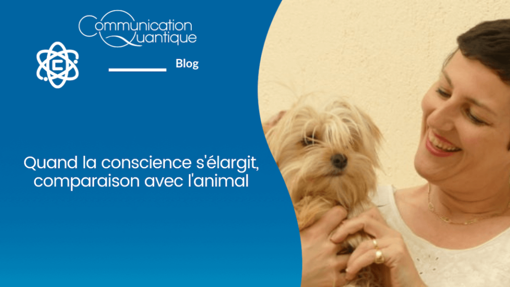 Quand la conscience s'élargit, comparaison animal - Communication Quantique®